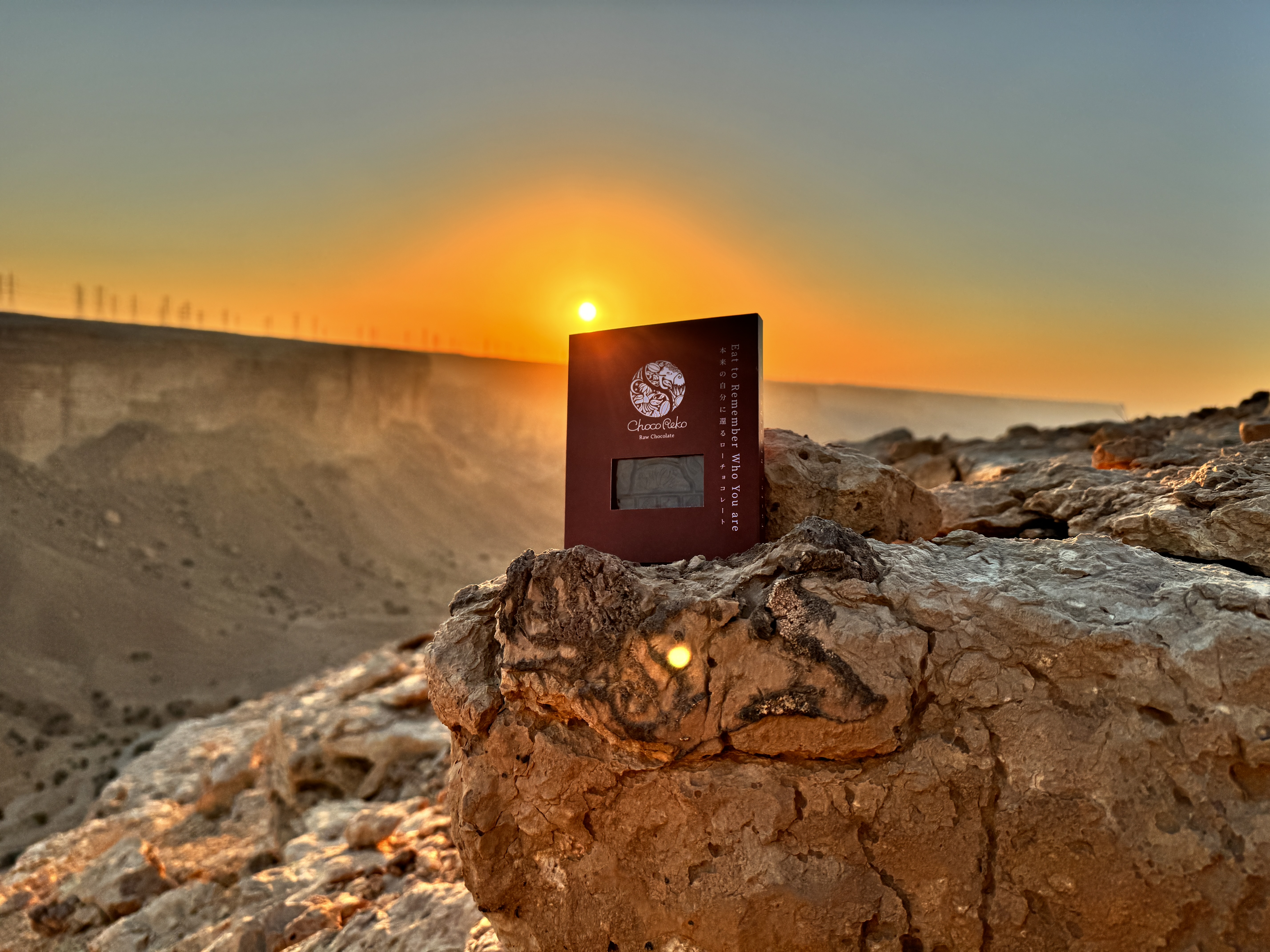 新年のご挨拶と発送開始のお知らせ